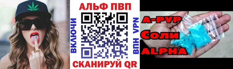 A PVP СК  Сольвычегодск 