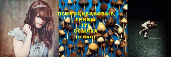 эйфоретик Нефтегорск
